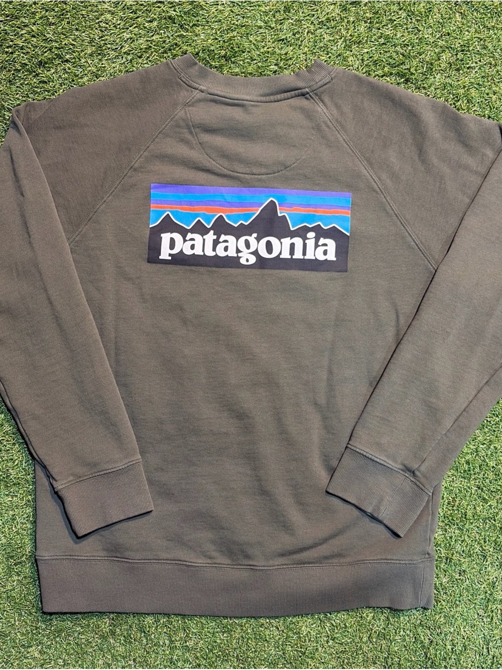 Patagonia Unisex Size M Green Crewneck Sweatshirt Logo Organic Cotton Outdoors